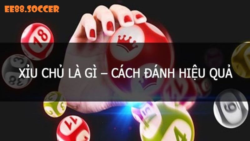 Định nghĩa về xỉu chủ